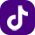 TikTok Logo